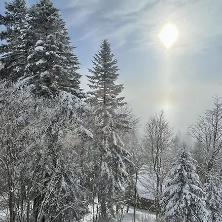 Appartement 3 Personnes En Station Avec Parking Couvert - Fr-1-787-115