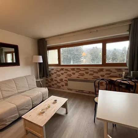 3 Personnes En Station Avec Parking Couvert - Fr-1-787-115 Apartment Laveissiere